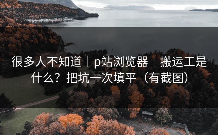 很多人不知道｜p站浏览器｜搬运工是什么？把坑一次填平（有截图）